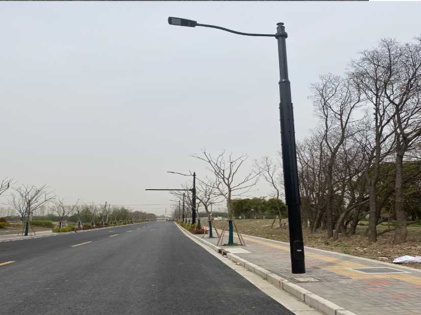 靖江市上海综合杆 太阳能路灯工程